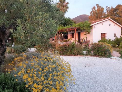 Bed & Breakfast Finca Mil Estrellas