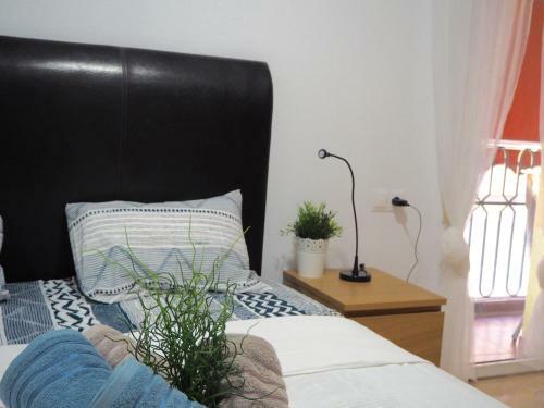 Apartamento Amiga