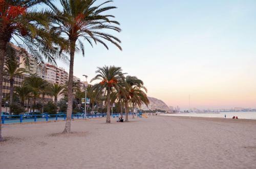 Apartamento-estudio Coraz�n de Alicante