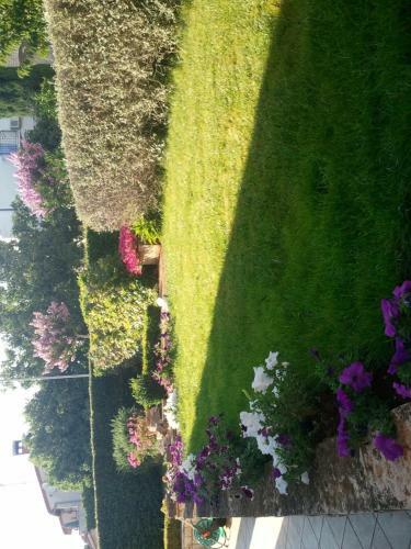 Hostal Apartments And Rooms Irena