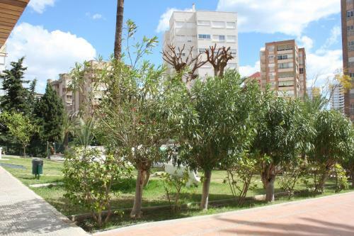 Apartamento �tico En San Juan