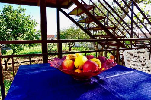 Hostal House Mariposa