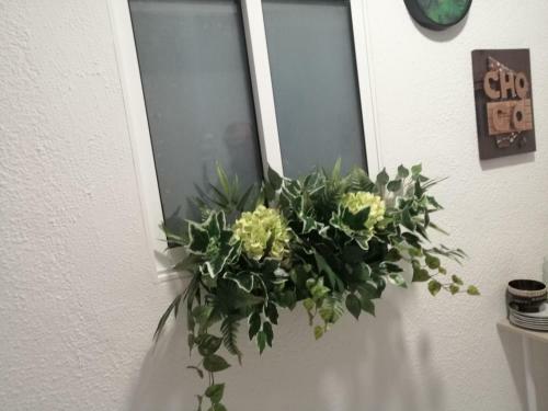 Albergue Room Near The Beach