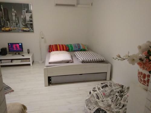 Apartament Jasny Noclegi P?ock