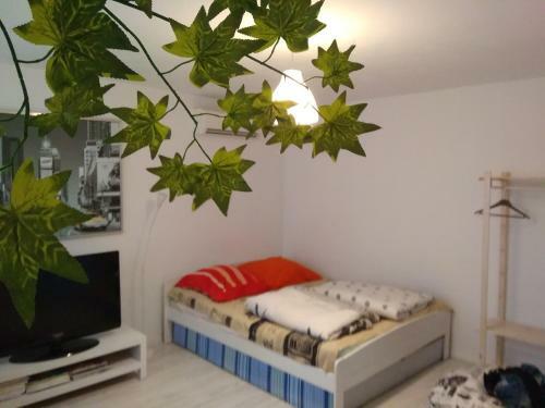 Apartament Jasny Noclegi P?ock