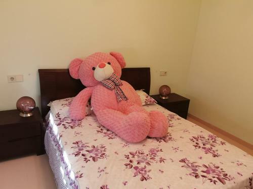 Soler Apartment