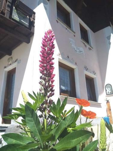 Apartamento Dgapartments Stella Alpina Livigno