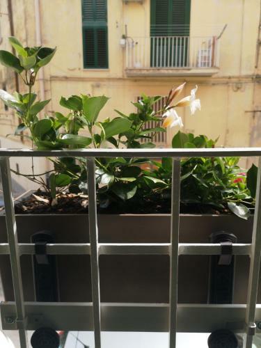 Casa Nannina