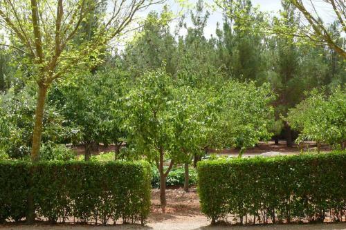 Villa Casa En El Campo Con Encanto