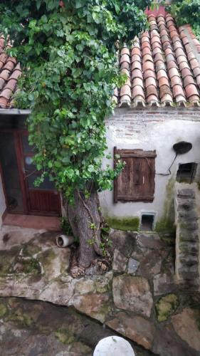 Airam Home Aragon, 7