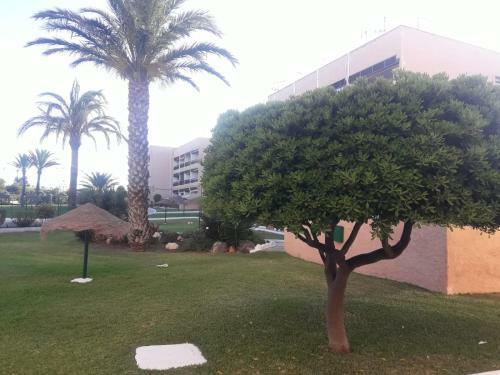 Apartamento La Burbuja
