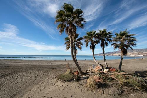 Apartamento Palmeral Beach Lara Casas