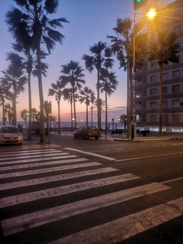 Apartamento Palmeral Beach Lara Casas