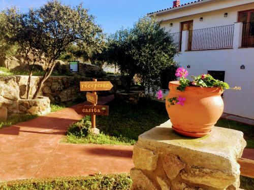 Villa Flores Amarillas