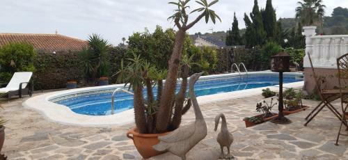 Villa Estrella