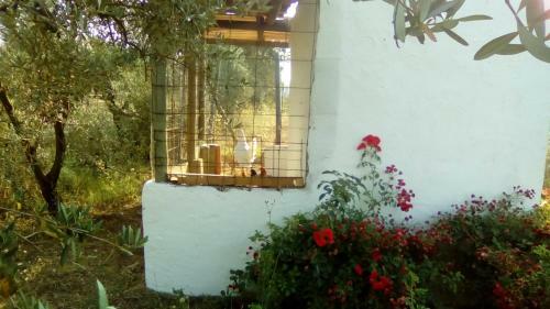 Agroturismo Finca Casa Halcon