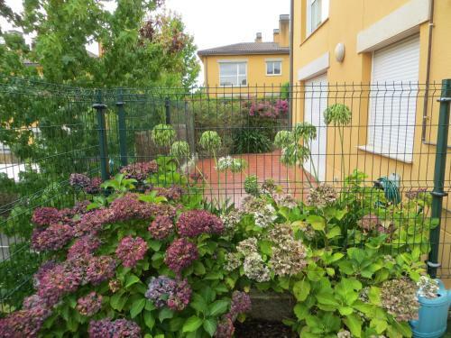 Apartamento En Golf Mi�o