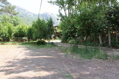 Hostal Olympos Caml?k Pension