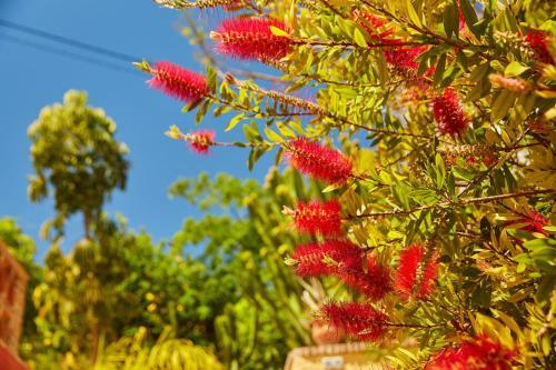 Apartamento Finca Fenix