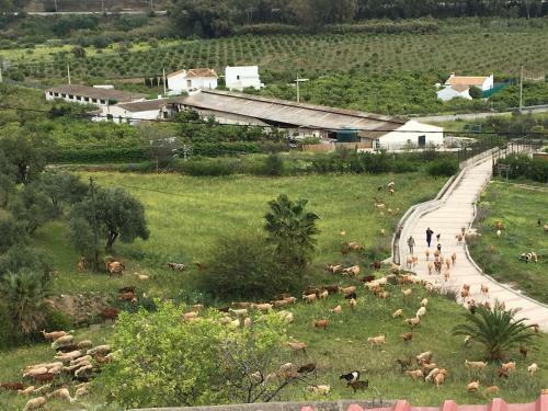 Bohemian Villa M�laga