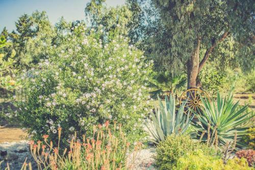 Bed & Breakfast Finca El Limonar