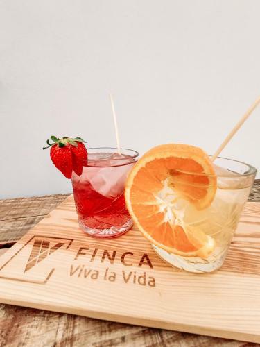 Bed & Breakfast Finca Viva La Vida