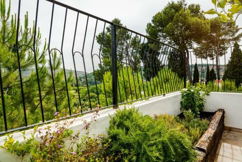 Casa Rural La Ermita de Anna