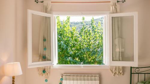 Apartamento Casanova Del Monjo