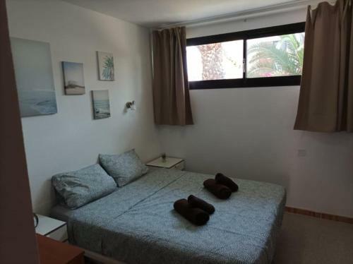 Sun Apartment Antigua
