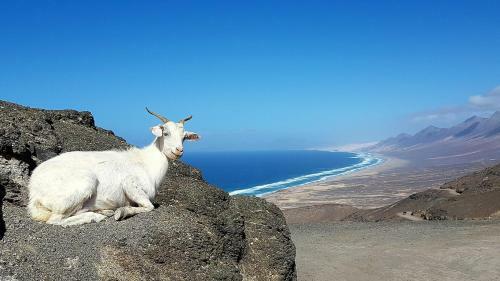 Apartamento Land And Wild Holidays