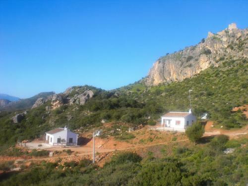 La Solana de Tur�n. La Coscoja.