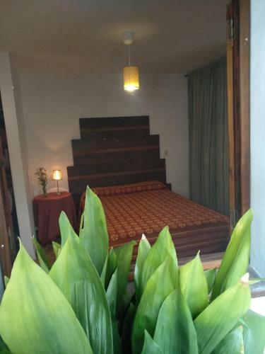 Bed & Breakfast El Patio Andal�