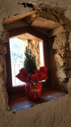 Albergue Espai Abadia