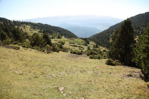 Apartamento Paller Cal Cintet