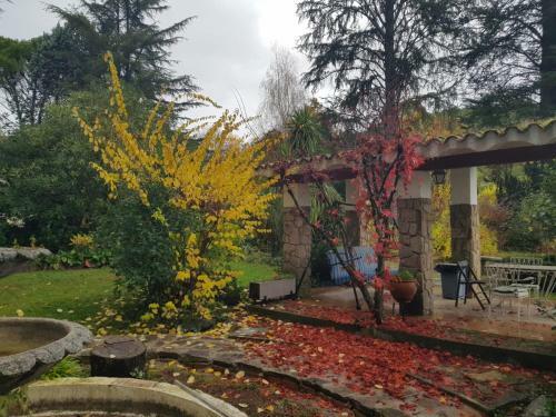 Villa Axarqu�a de Gredos