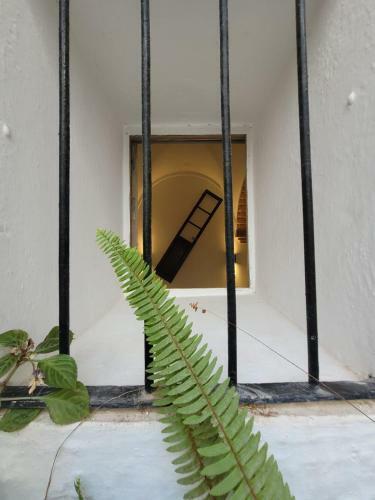 Apartamento Casa Cuna