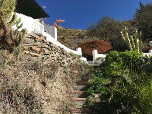Cortijo El Abejaruco