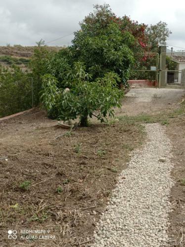 Apartamento Casita Adelfa