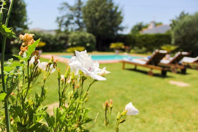 Villa Casa Jazm�n