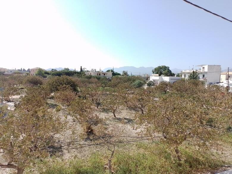 Miranta Hotel