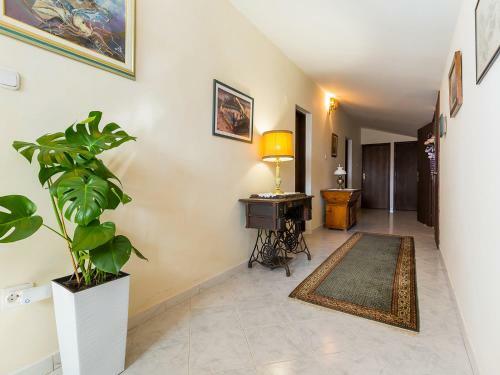 Hostal Apartments Vesna