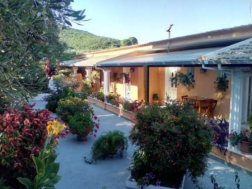 Apartamento Marika Garden Studios