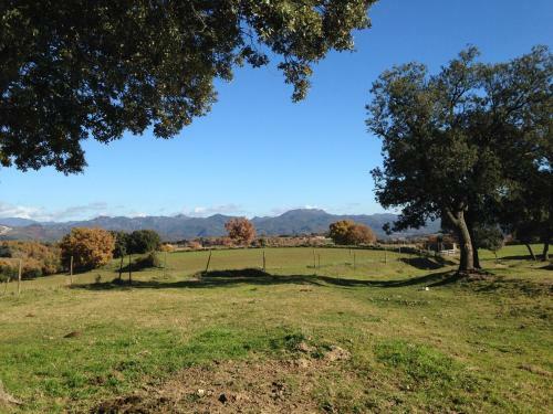 Apartamento La Quiniela