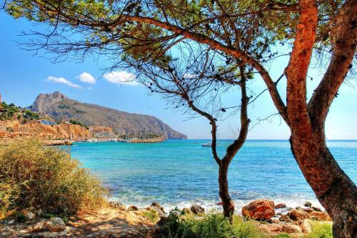 Apartamento �tico Altea Puerto de Campomanes