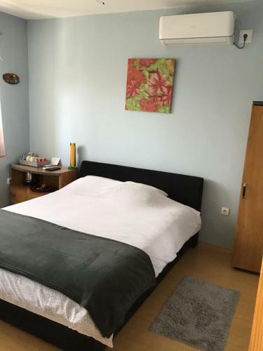 Bingo Apartments