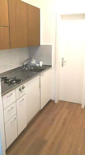 Apartment In Bern City Centre