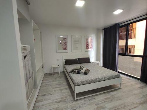 Apartamento Loft El Charco By Flamingo
