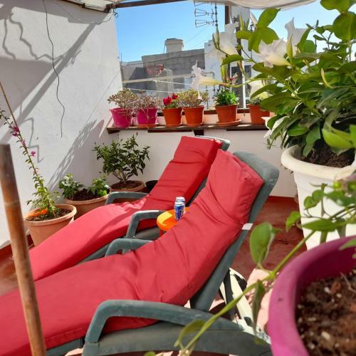 Apartamento Casa Flores