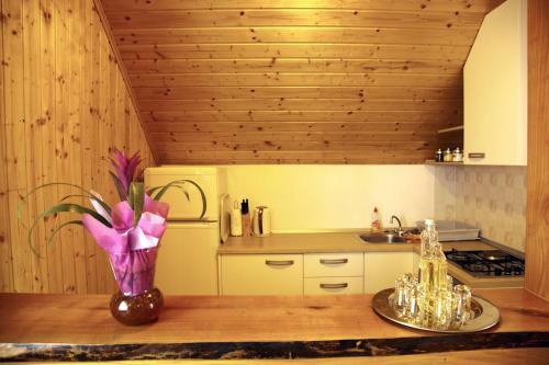 Apartment Ines