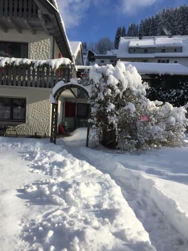 Apartamento Ferienwohnung Pusteblume
